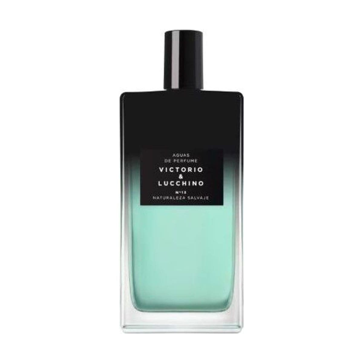 Embalagem de Perfume Victorio & Lucchino Aguas Intensas Nº13 Masculino Eau de Parfum